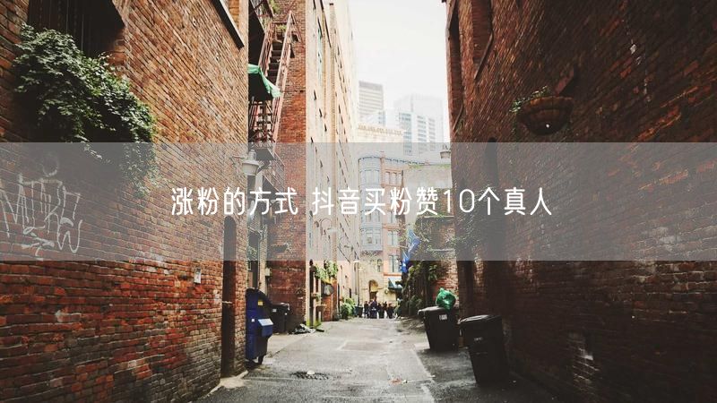 涨粉的方式 抖音买粉赞10个真人