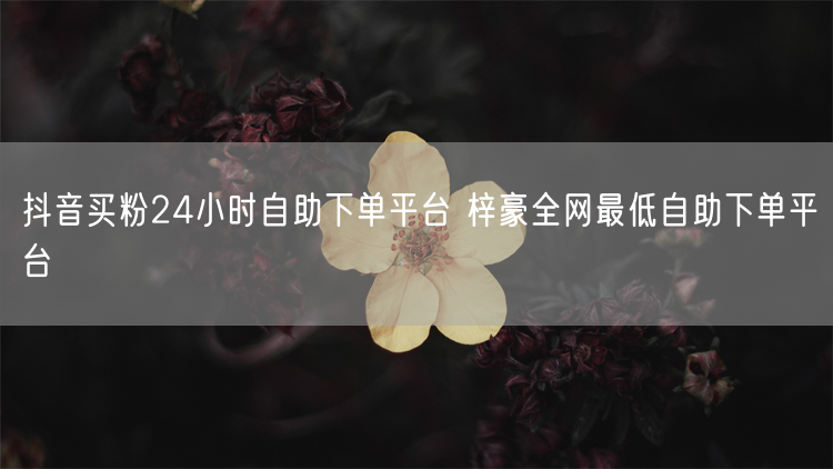 抖音买粉24小时自助下单平台 梓豪全网最低自助下单平台