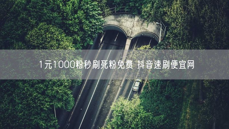 1元1000粉秒刷死粉免费 抖音速刷便宜网