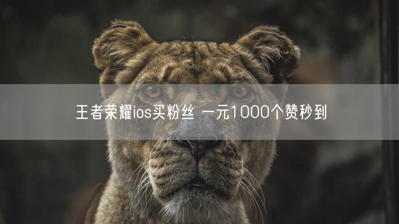 王者荣耀ios买粉丝 一元1000个赞秒到