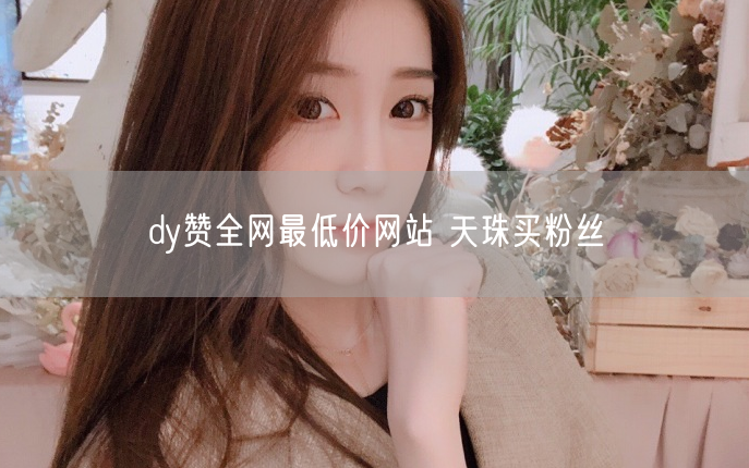 dy赞全网最低价网站 天珠买粉丝