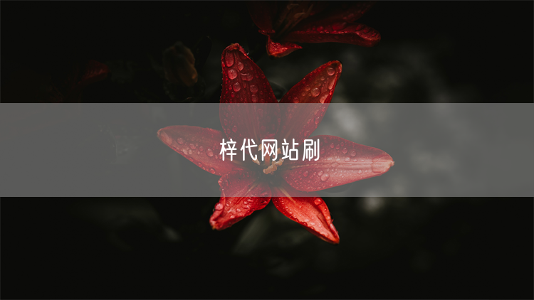 梓代网站刷