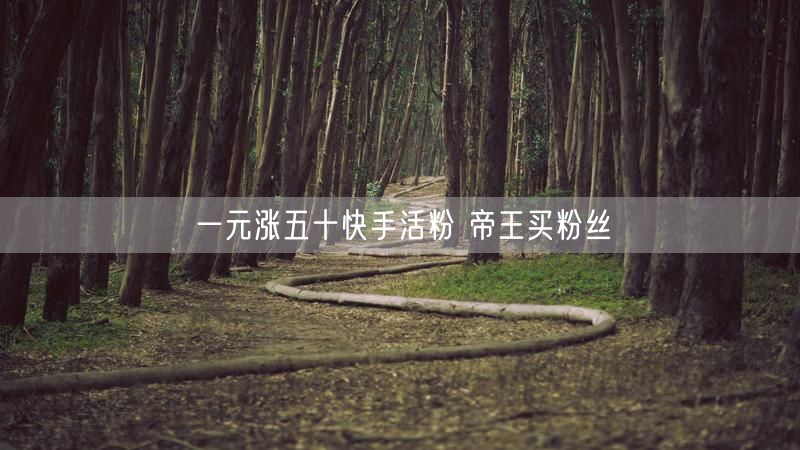 一元涨五十快手活粉 帝王买粉丝
