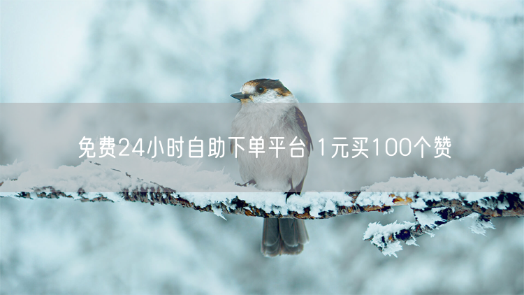 免费24小时自助下单平台 1元买100个赞