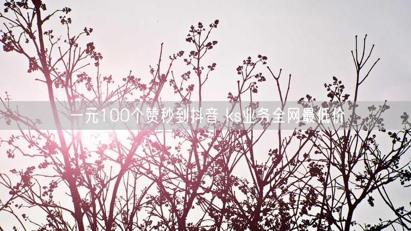 一元100个赞秒到抖音 ks业务全网最低价