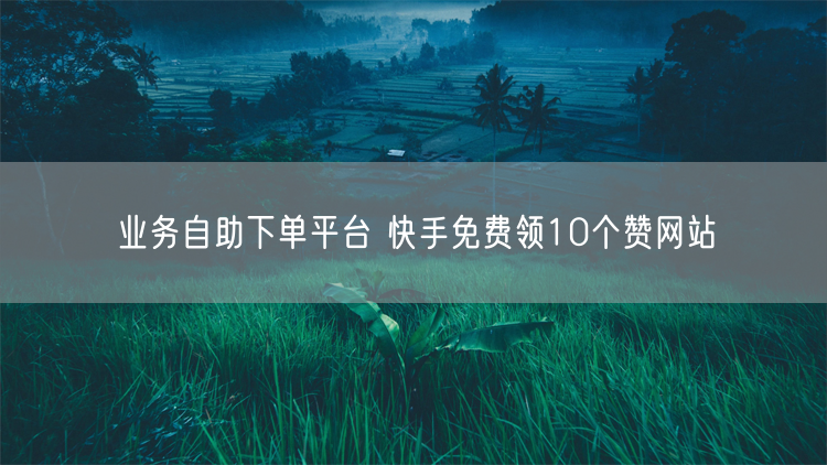 业务自助下单平台 快手免费领10个赞网站