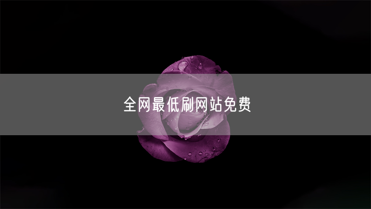 全网最低刷网站免费