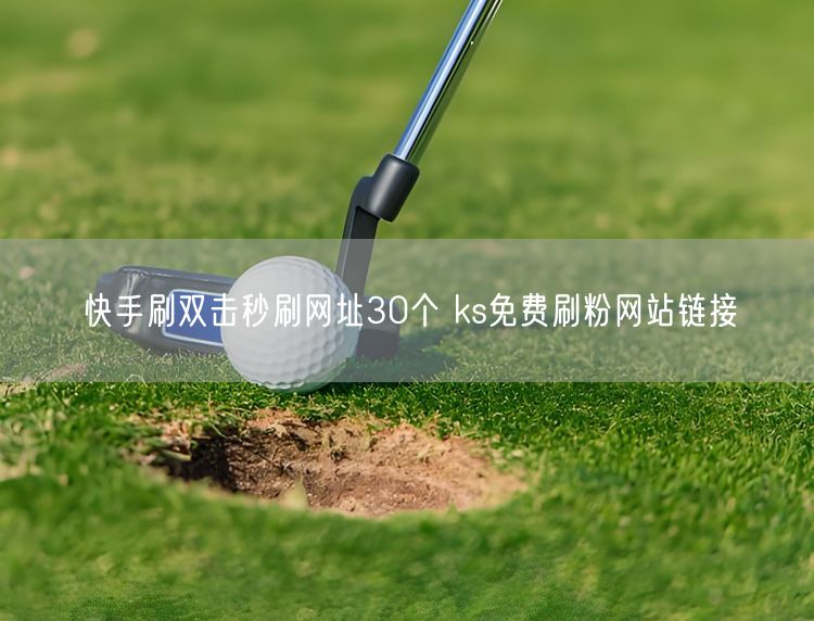 快手刷双击秒刷网址30个 ks免费刷粉网站链接