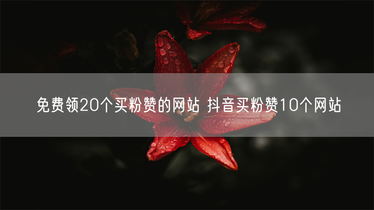 免费领20个买粉赞的网站 抖音买粉赞10个网站