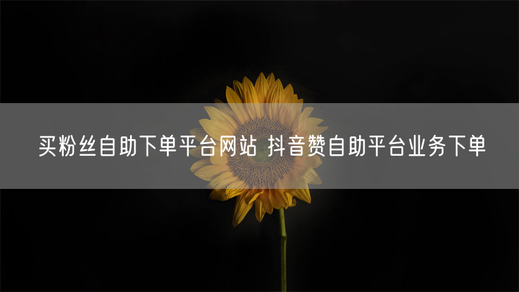 买粉丝自助下单平台网站 抖音赞自助平台业务下单
