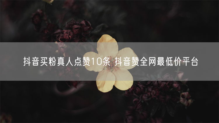 抖音买粉真人点赞10条 抖音赞全网最低价平台