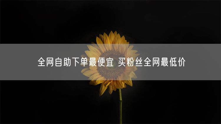 全网自助下单最便宜 买粉丝全网最低价