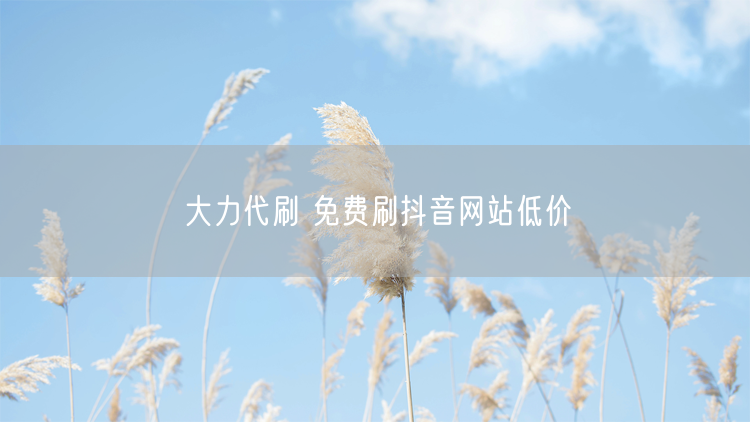 大力代刷 免费刷抖音网站低价