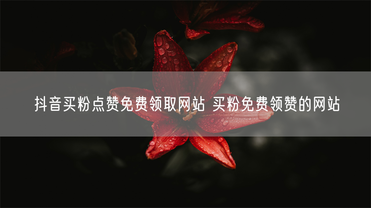 抖音买粉点赞免费领取网站 买粉免费领赞的网站