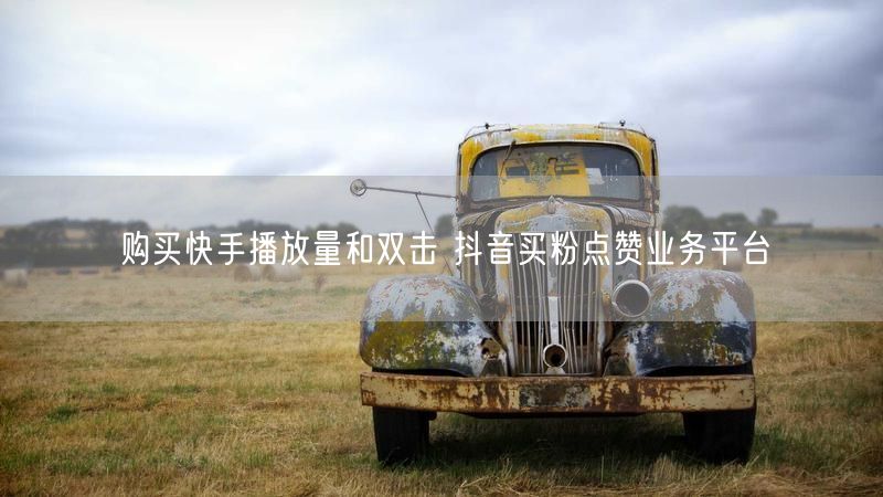 购买快手播放量和双击 抖音买粉点赞业务平台