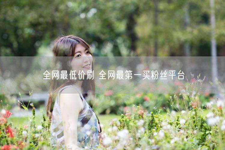 全网最低价刷 全网最第一买粉丝平台