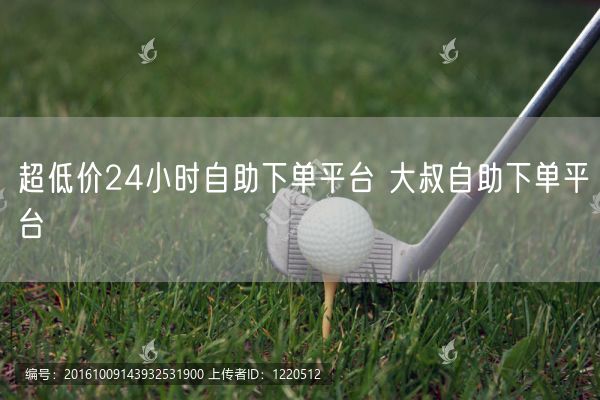 超低价24小时自助下单平台 大叔自助下单平台