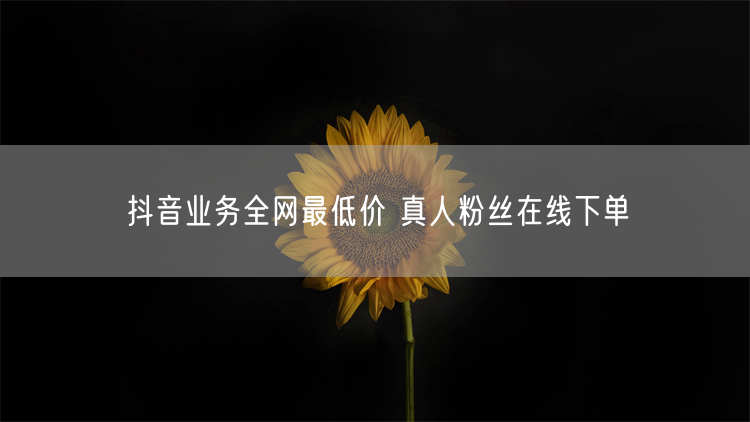 抖音业务全网最低价 真人粉丝在线下单