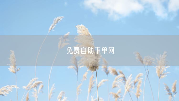 免费自助下单网