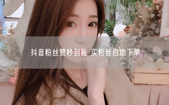抖音粉丝赞秒到账 买粉丝自助下单
