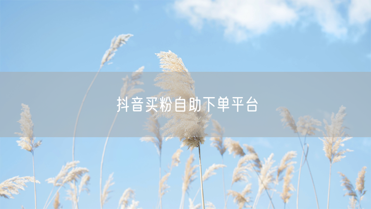 抖音买粉自助下单平台