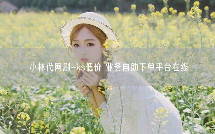 小林代网刷-ks低价 业务自助下单平台在线
