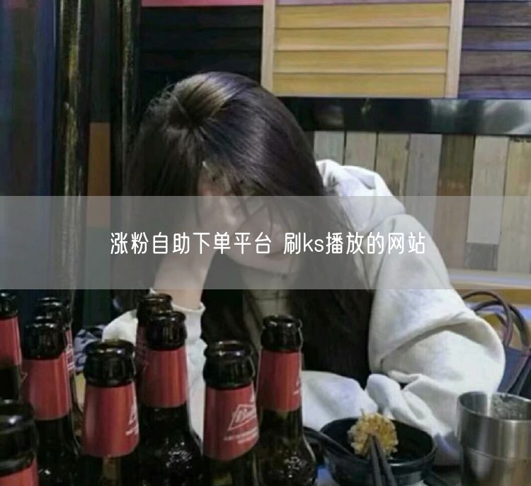 涨粉自助下单平台 刷ks播放的网站