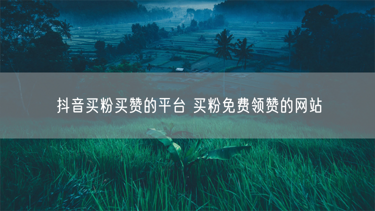 抖音买粉买赞的平台 买粉免费领赞的网站