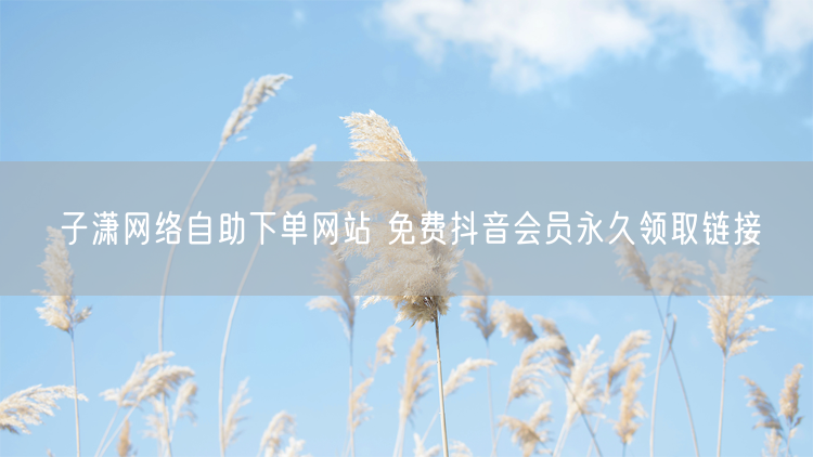 子潇网络自助下单网站 免费抖音会员永久领取链接
