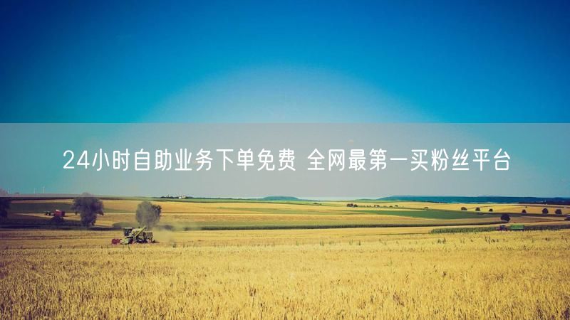 24小时自助业务下单免费 全网最第一买粉丝平台