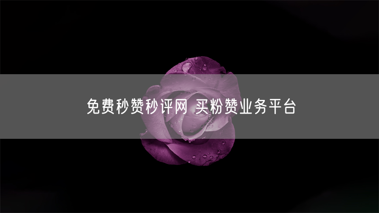 免费秒赞秒评网 买粉赞业务平台