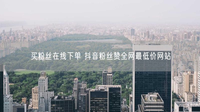 买粉丝在线下单 抖音粉丝赞全网最低价网站