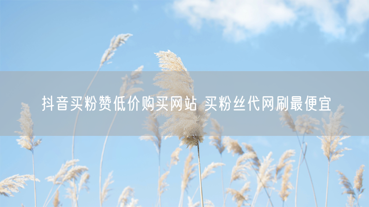 抖音买粉赞低价购买网站 买粉丝代网刷最便宜