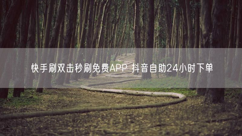 快手刷双击秒刷免费APP 抖音自助24小时下单