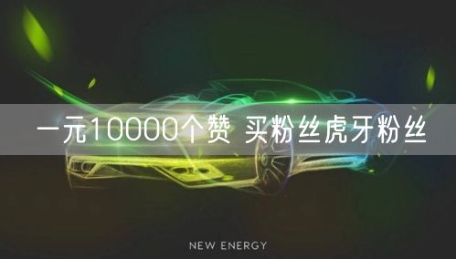 一元10000个赞 买粉丝虎牙粉丝