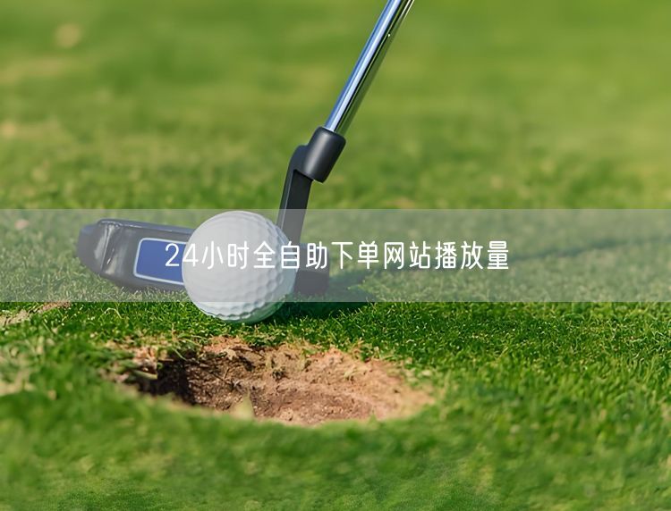 24小时全自助下单网站播放量
