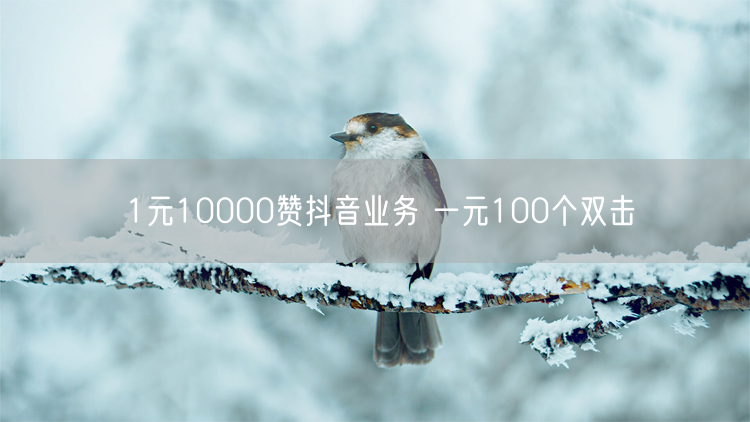 1元10000赞抖音业务 一元100个双击