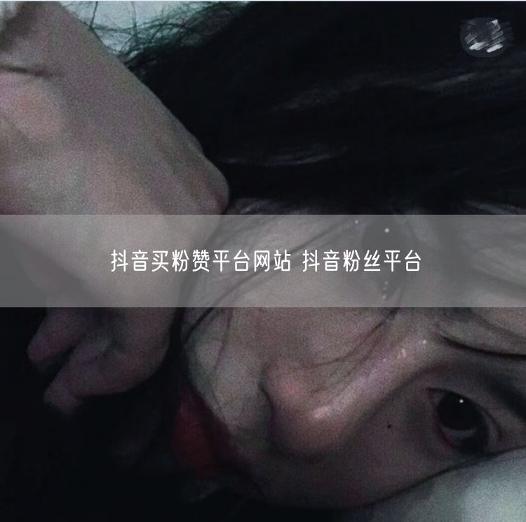 抖音买粉赞平台网站 抖音粉丝平台