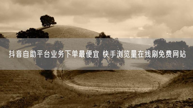 抖音自助平台业务下单最便宜 快手浏览量在线刷免费网站