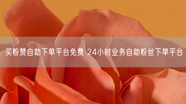 买粉赞自助下单平台免费 24小时业务自助粉丝下单平台