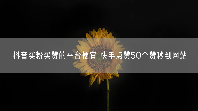 抖音买粉买赞的平台便宜 快手点赞50个赞秒到网站