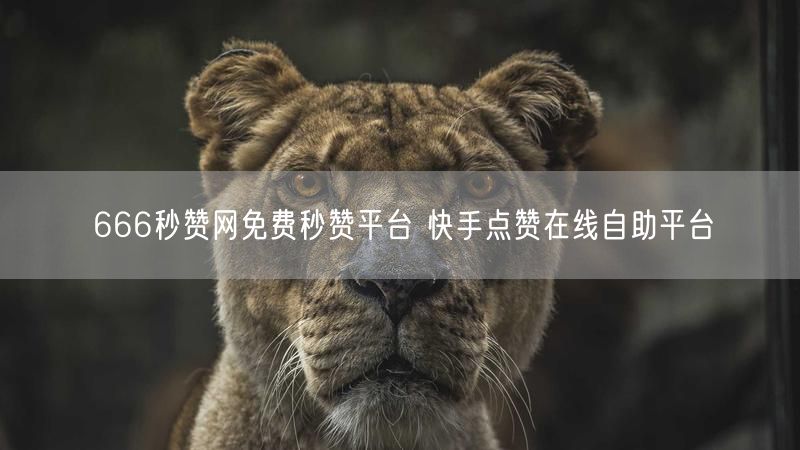 666秒赞网免费秒赞平台 快手点赞在线自助平台