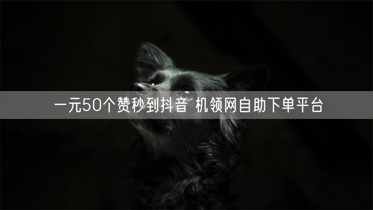 一元50个赞秒到抖音 机领网自助下单平台