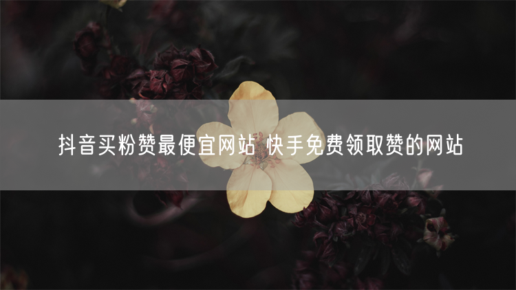 抖音买粉赞最便宜网站 快手免费领取赞的网站