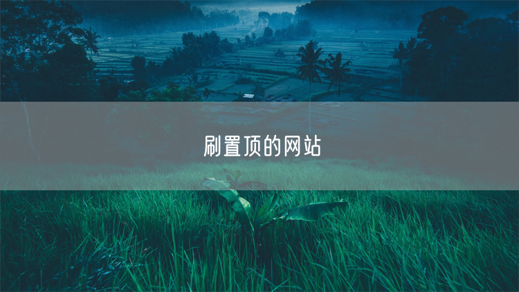 刷置顶的网站