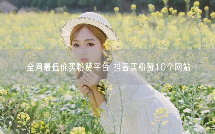 全网最低价买粉赞平台 抖音买粉赞10个网站