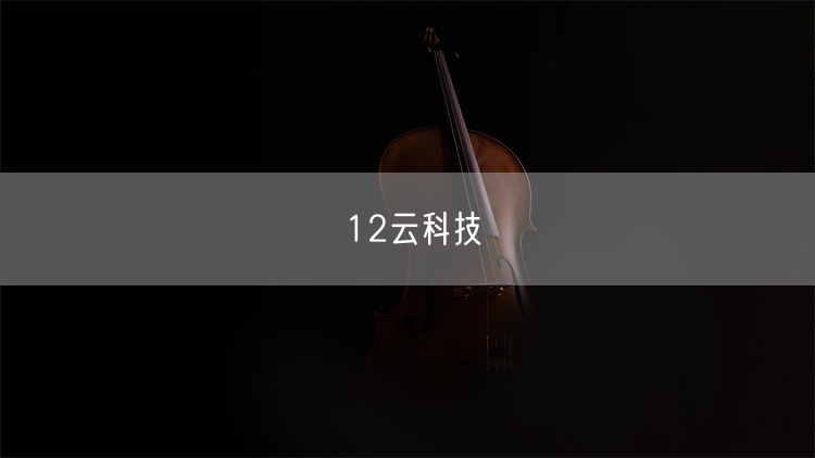 12云科技