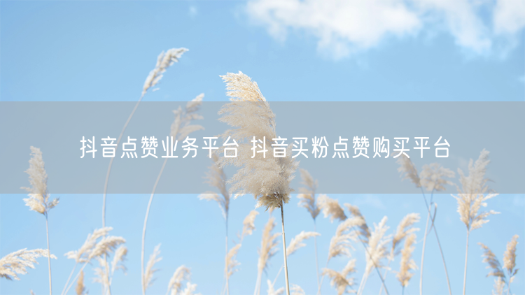 抖音点赞业务平台 抖音买粉点赞购买平台