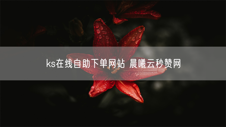 ks在线自助下单网站 晨曦云秒赞网