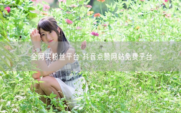 全网买粉丝平台 抖音点赞网站免费平台